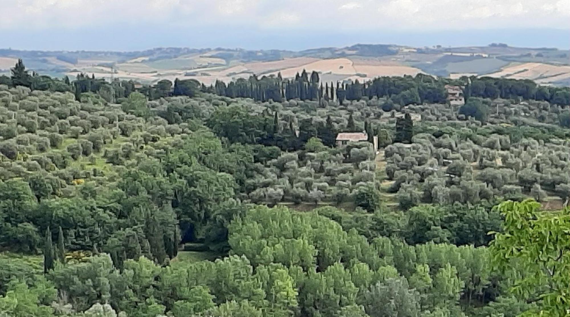 Montebello Degli Olivi Чиуси Екстериор снимка